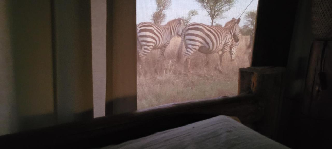 Zawadi Camp Otel Serengeti Dış mekan fotoğraf