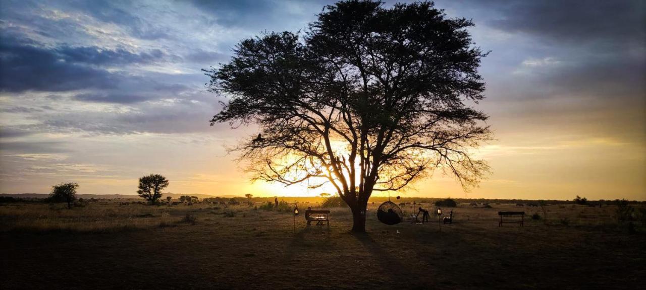 Zawadi Camp Otel Serengeti Dış mekan fotoğraf