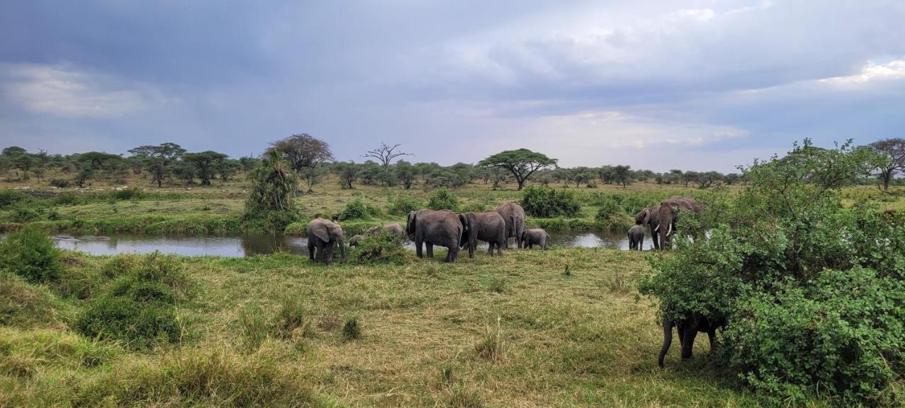 Zawadi Camp Otel Serengeti Dış mekan fotoğraf