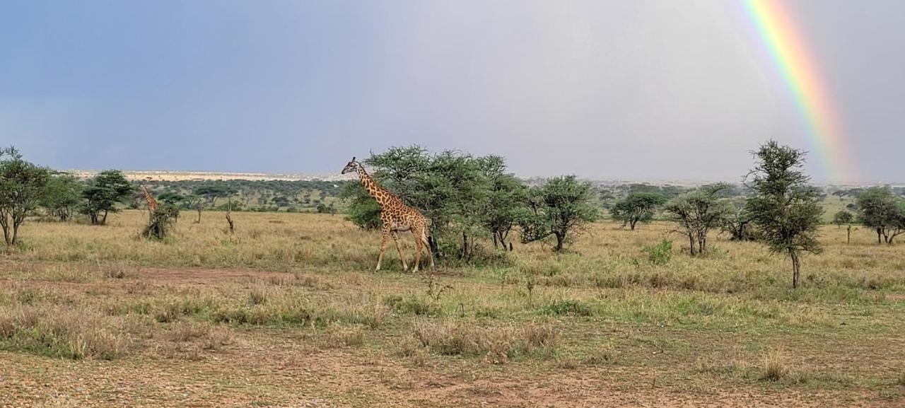 Zawadi Camp Otel Serengeti Dış mekan fotoğraf