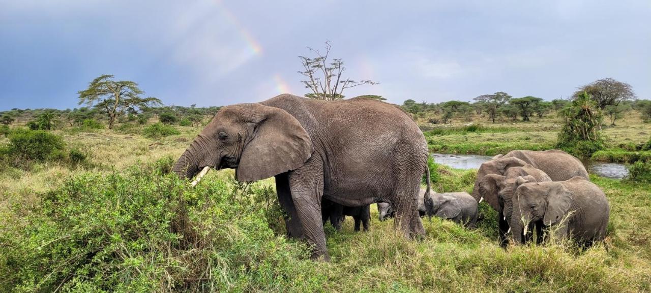 Zawadi Camp Otel Serengeti Dış mekan fotoğraf