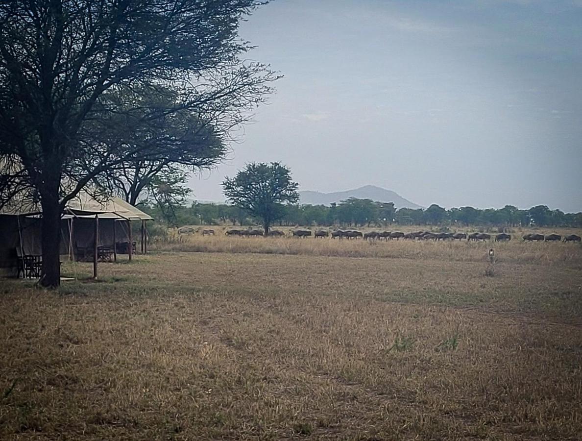 Zawadi Camp Otel Serengeti Dış mekan fotoğraf