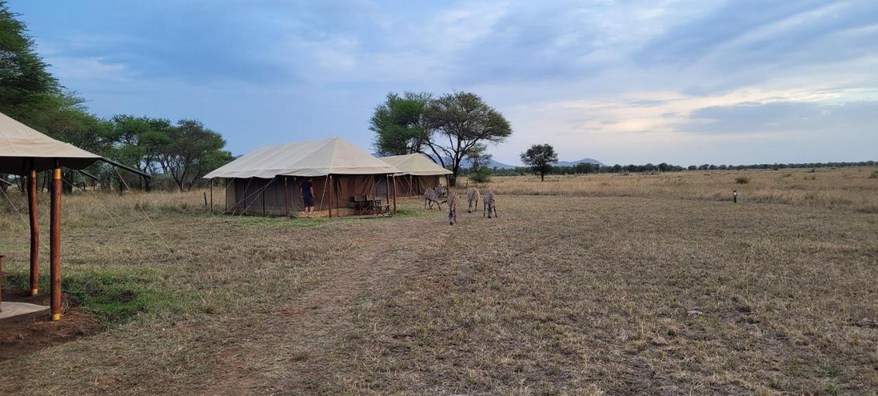 Zawadi Camp Otel Serengeti Dış mekan fotoğraf