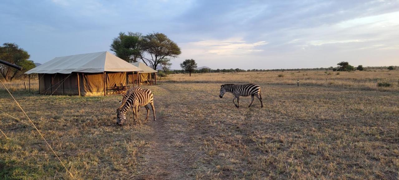 Zawadi Camp Otel Serengeti Dış mekan fotoğraf