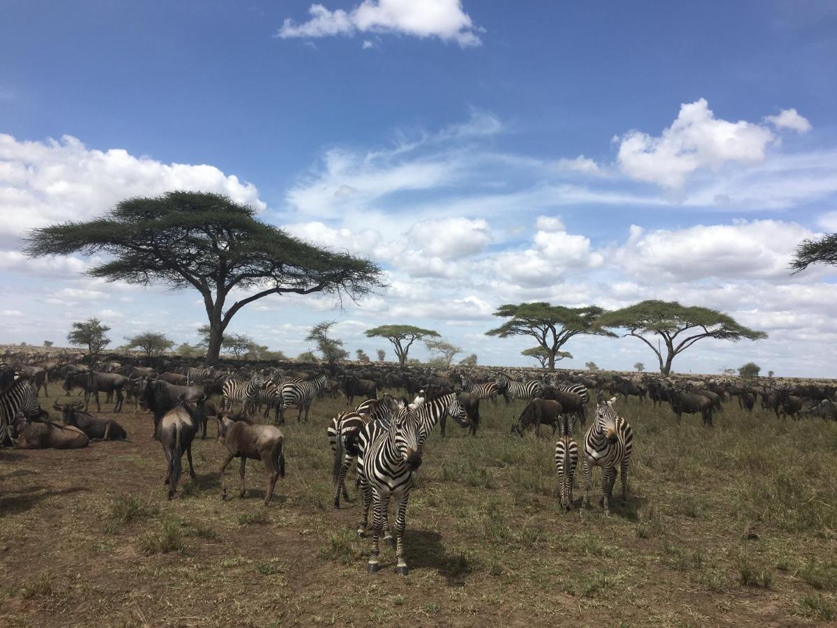 Zawadi Camp Otel Serengeti Dış mekan fotoğraf