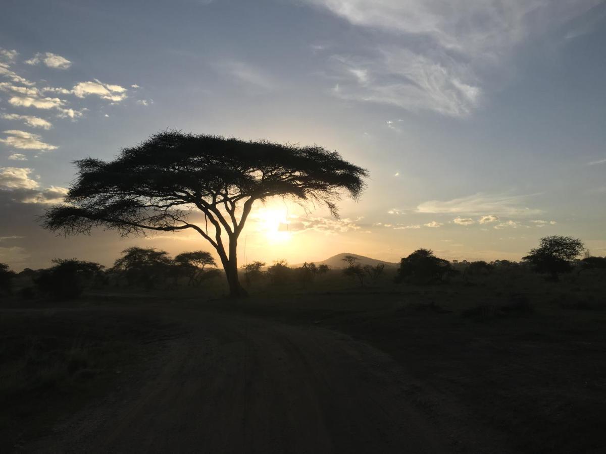 Zawadi Camp Otel Serengeti Dış mekan fotoğraf