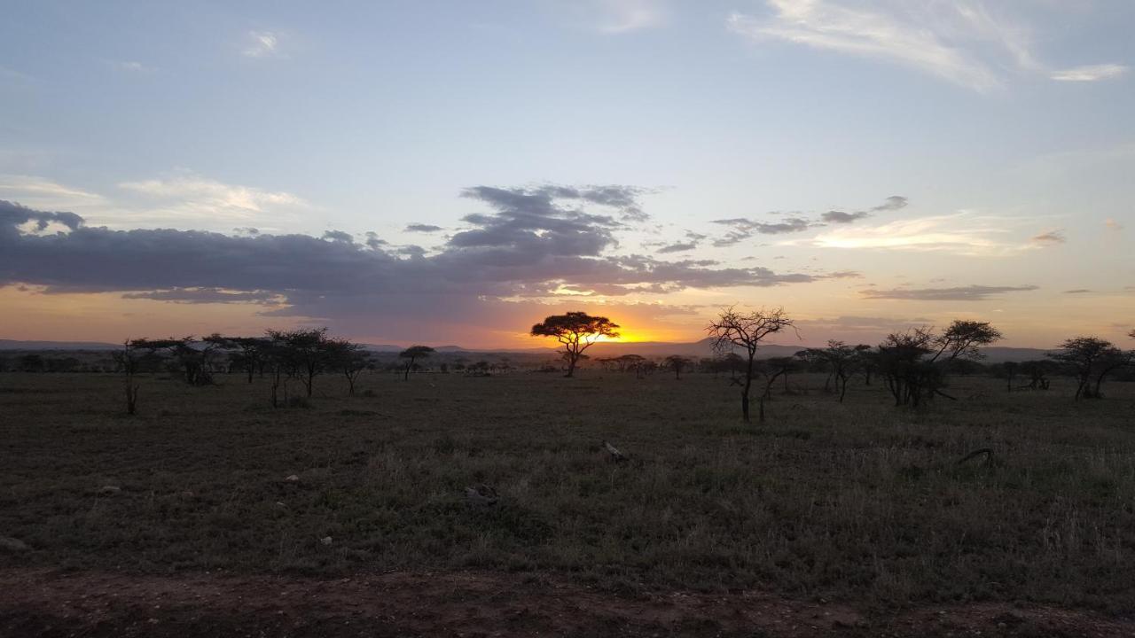 Zawadi Camp Otel Serengeti Dış mekan fotoğraf